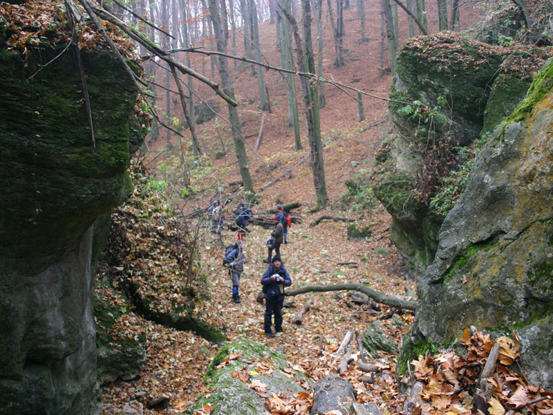 A szurdok egyre vadabb.
