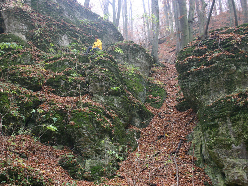 Itt már manó is van...