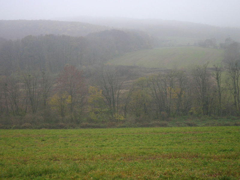 Az út végén átkeltünk egy mélyszántáson is.