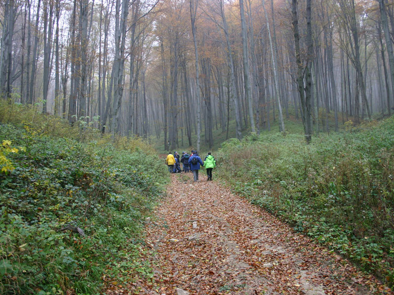 A szarvad árokba vezető út.