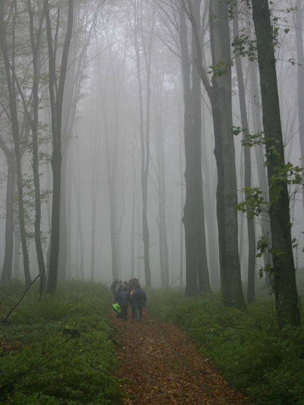 Időnként a köd is ránkereszkedett.