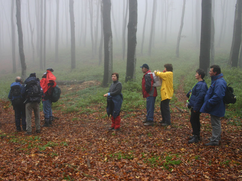 Gyors kalóriapótlás.
