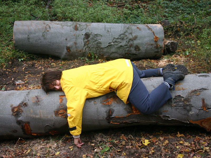 Hát ezen a fatörzsön meg mi nőtt?